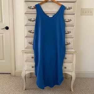 Vici Blue Sleeveless Dress